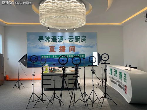 電商賦能傳統技藝，湟源城關鎮玉珍唐卡店與大藏印象披肩店入駐縣電子商務孵化園