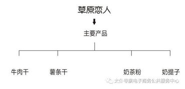 聚力農產品上行，太仆寺旗電商銷售品牌策劃服務全旗 經營電子商務